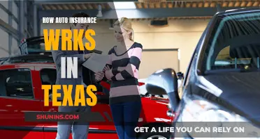 Texas Auto Insurance: Understanding the Lone Star State's Unique System