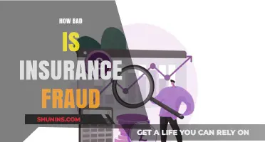 Insurance Fraud's Devastating Impact: Costs, Consequences, and Prevention Strategies