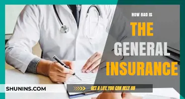 Is General Insurance Failing Us? A Critical Look at Its Flaws