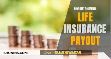 Life Insurance Payout: Managing Your Sudden Windfall Wisely