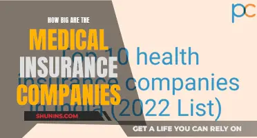 Medical Insurance Companies: Giants of the Industry