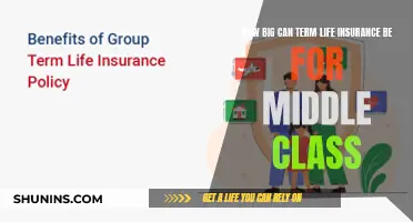 Middle-Class Life Insurance: How Big Is Too Big?