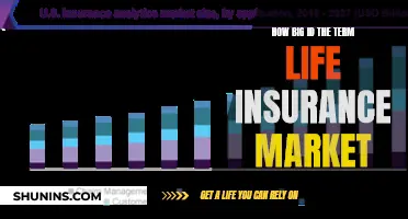 Life Insurance Market: How Big Is It, Really?