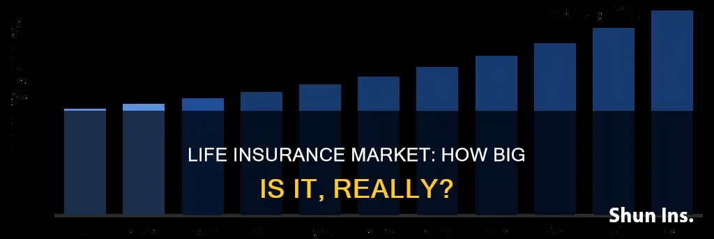 how big id the term life insurance market