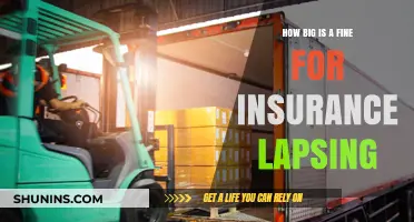 Consequences of Insurance Lapse: Understanding Fines and Penalties for Expired Coverage