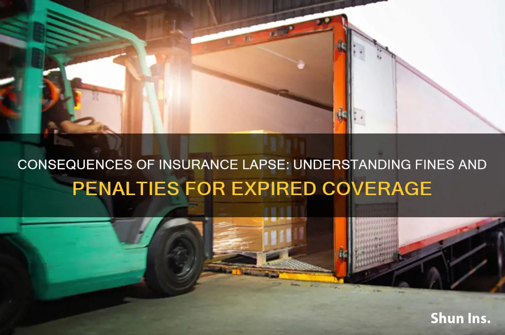 how big is a fine for insurance lapsing