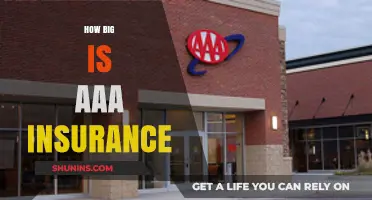 Exploring the Size and Scope of AAA Insurance: A Comprehensive Overview