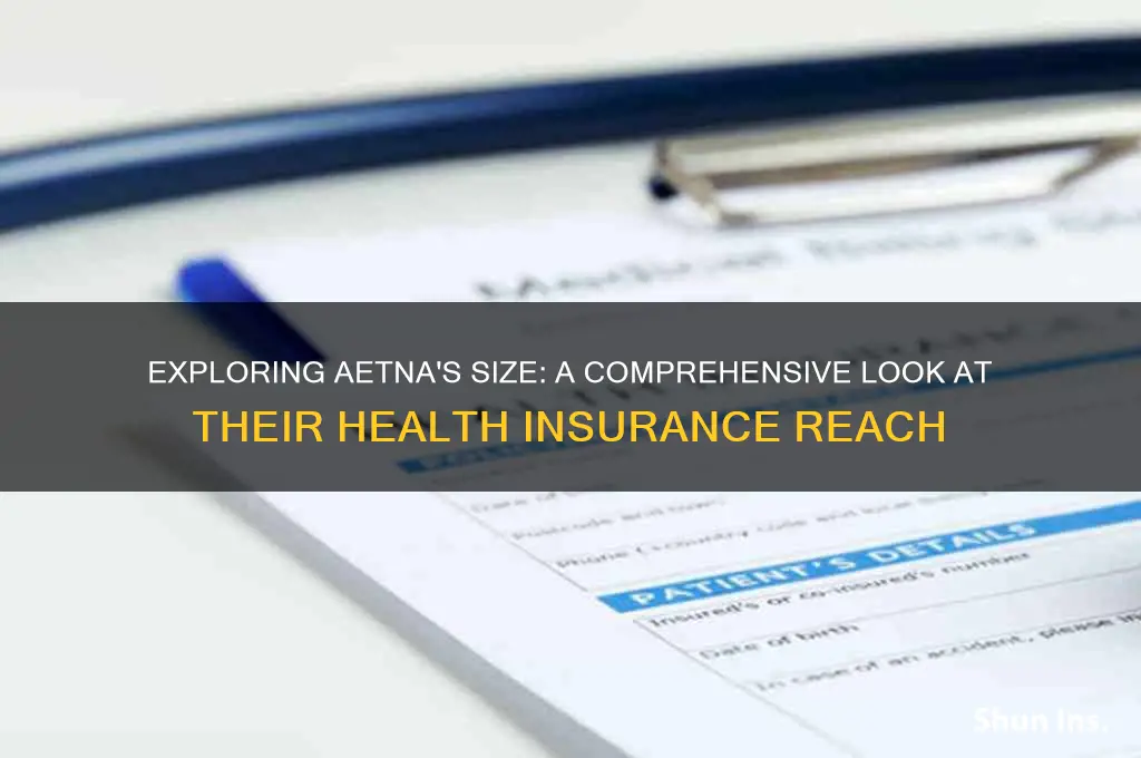 how big is aetna health insurance