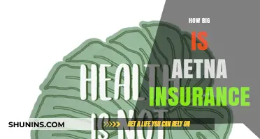 Exploring Aetna's Size: A Comprehensive Look at Its Insurance Reach