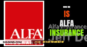 Exploring Alfa Insurance: Size, Reach, and Market Presence Revealed