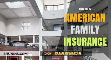 Exploring American Family Insurance: Size, Scope, and Market Presence