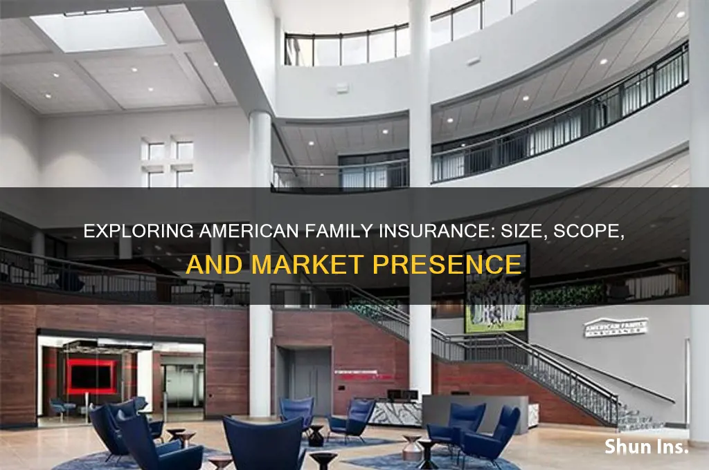 how big is american family insurance