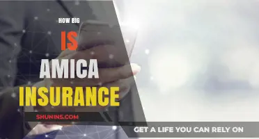 Exploring Amica Insurance's Size: A Comprehensive Overview of Its Scale