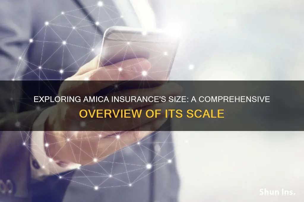 how big is amica insurance
