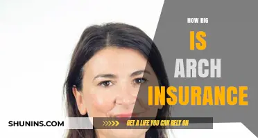 Exploring Arch Insurance's Global Reach and Financial Scale