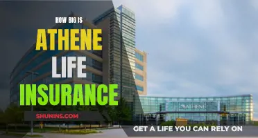 Athene Life Insurance: A Giant in the Industry