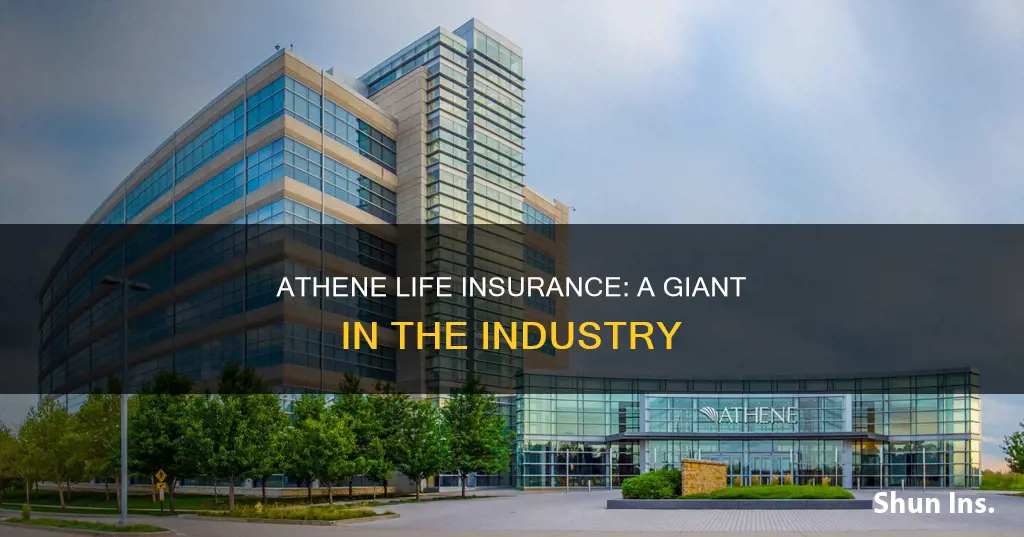 how big is athene life insurance