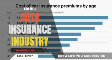 The Auto Insurance Industry: A Giant in the Shadows