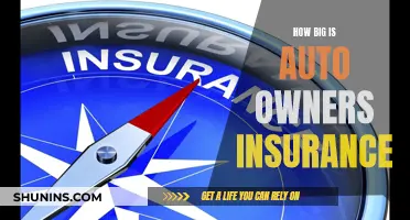 Auto-Owners Insurance: A Giant in the Industry