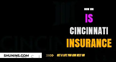 Cincinnati Insurance Size: A Comprehensive Look at Its Scale and Reach