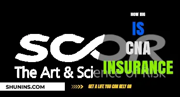 Exploring CNA Insurance: Size, Scope, and Market Presence Revealed