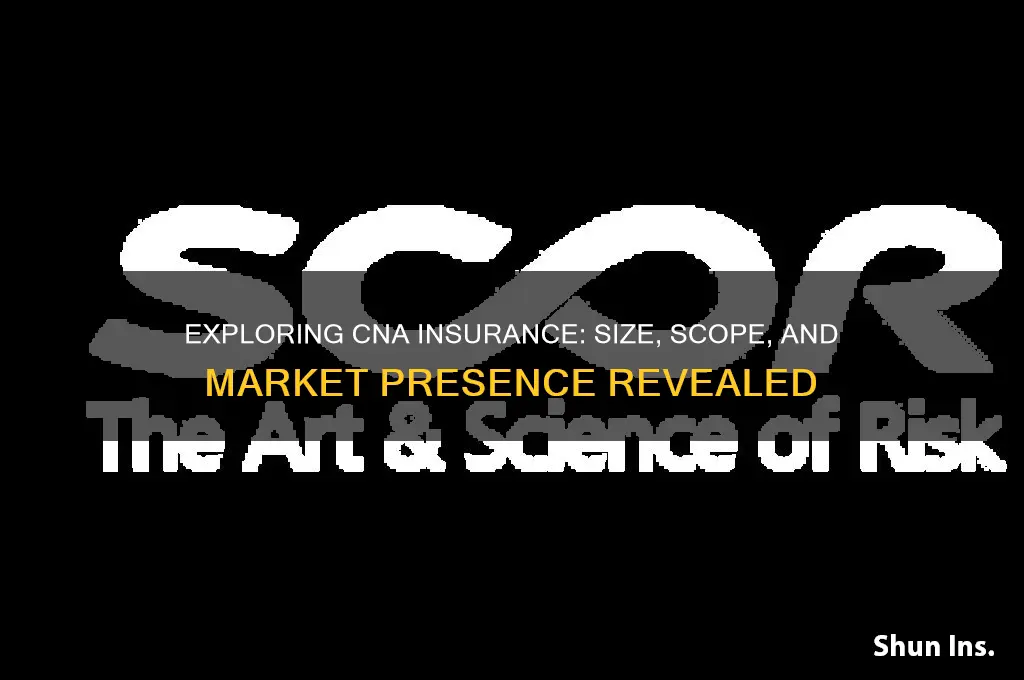 how big is cna insurance