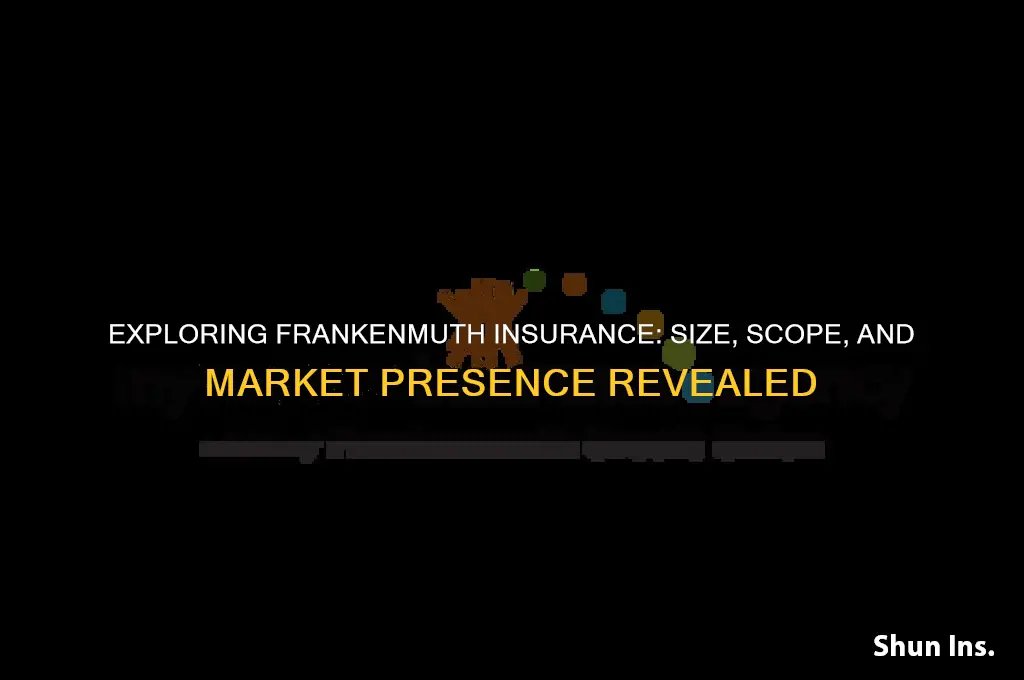 how big is frankenmuth insurance