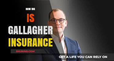 Exploring Gallagher Insurance: Size, Scope, and Global Impact Revealed