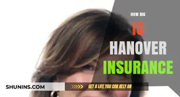 Exploring Hanover Insurance: Size, Scope, and Market Presence Revealed