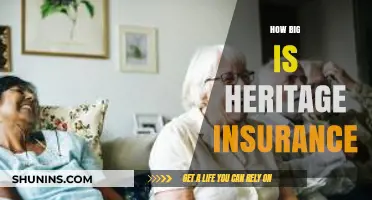 Exploring the Size and Scope of Heritage Insurance Company