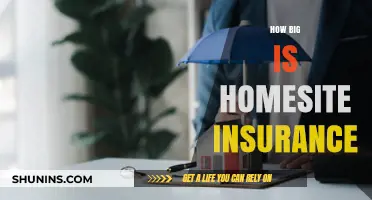 Understanding Homesite Insurance: Coverage Size and Benefits Explained