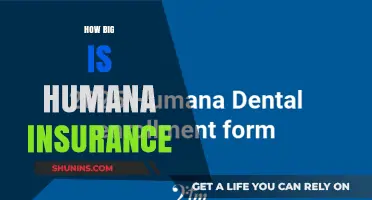 Exploring Humana Insurance: Size, Scope, and Market Impact Revealed
