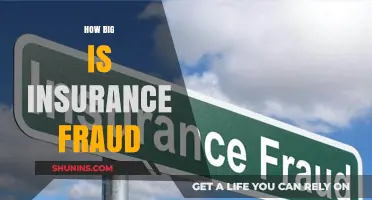 Unveiling the Massive Scale of Insurance Fraud: A Global Crisis