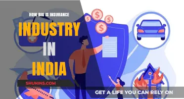 Exploring India's Insurance Sector: Size, Growth, and Market Potential