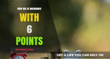Understanding Insurance Costs: Impact of 6 Penalty Points Explained