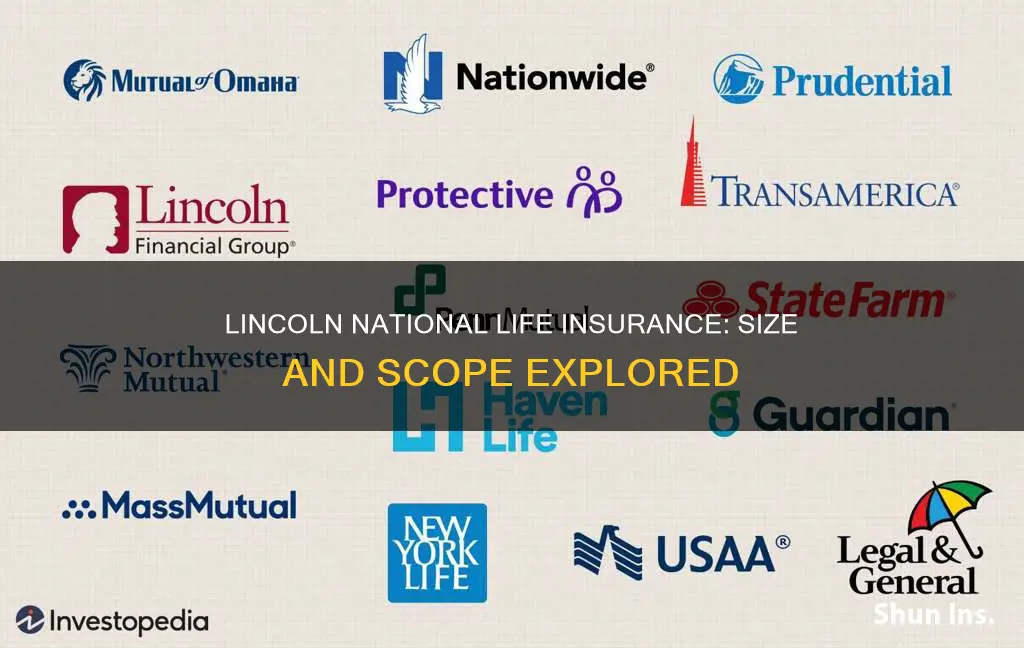 how big is lincoln national life insurance