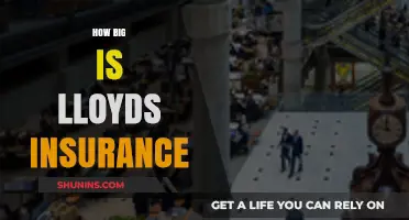 Exploring Lloyd's Insurance: Size, Scope, and Global Impact Revealed