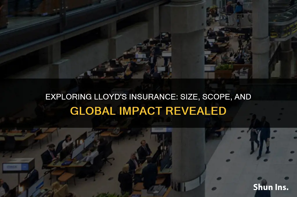 how big is lloyds insurance