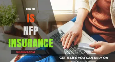Understanding NFP Insurance: Size, Scope, and Market Impact Explained