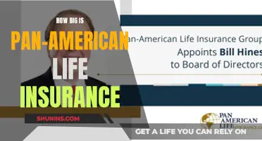 Pan-American Life Insurance: Size and Reach Overview