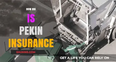 Exploring Pekin Insurance's Size: A Comprehensive Overview of Its Scale
