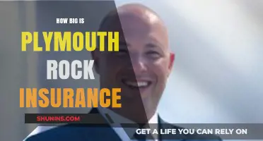 Plymouth Rock Insurance: Size, Scope, and Market Presence Explained