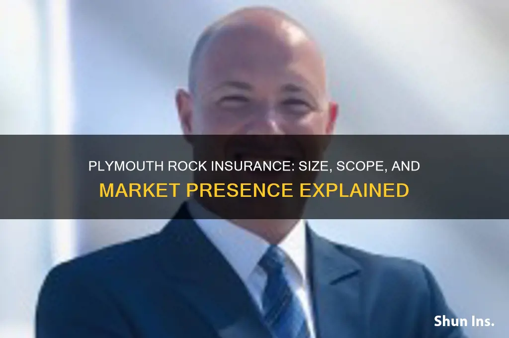 how big is plymouth rock insurance