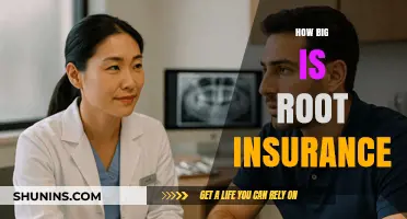 Exploring Root Insurance's Size: A Comprehensive Overview of Its Scale