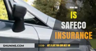 Safeco Insurance Size: A Comprehensive Look at Its Scale and Reach
