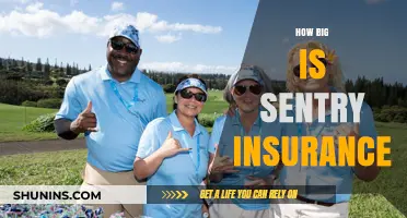Exploring Sentry Insurance's Size, Reach, and Industry Impact