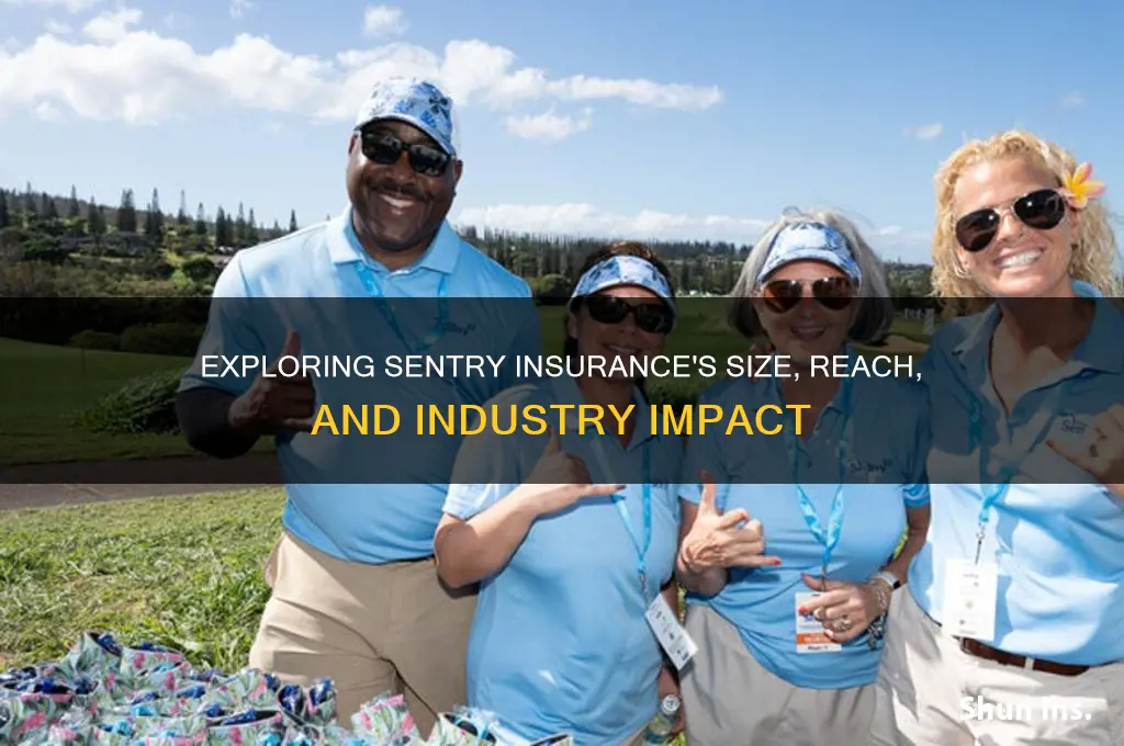 how big is sentry insurance