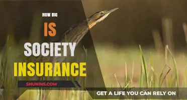 Understanding the Scale and Impact of Society Insurance Coverage