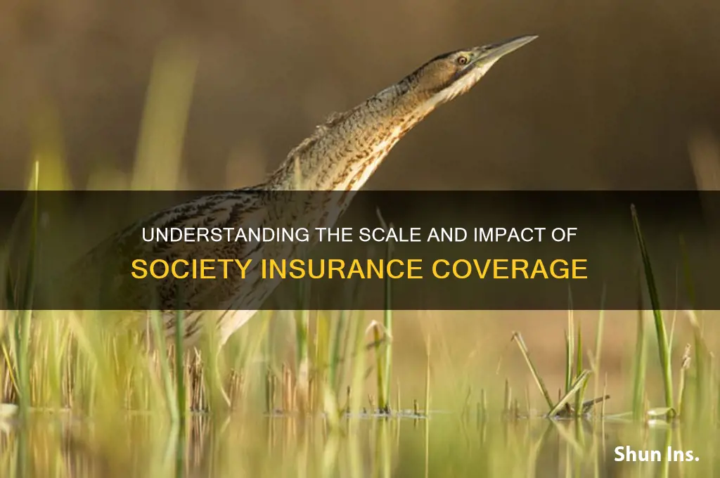 how big is society insurance