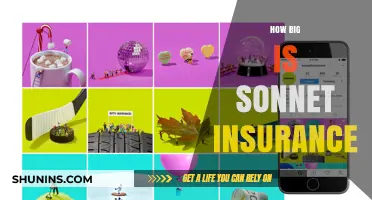 Exploring Sonnet Insurance's Size, Reach, and Market Presence in Canada